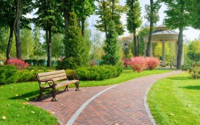 Beautiful Park With Bench